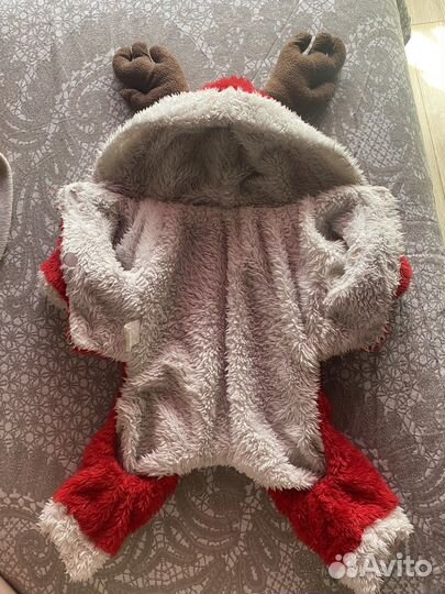 Одежда для маленьких собак