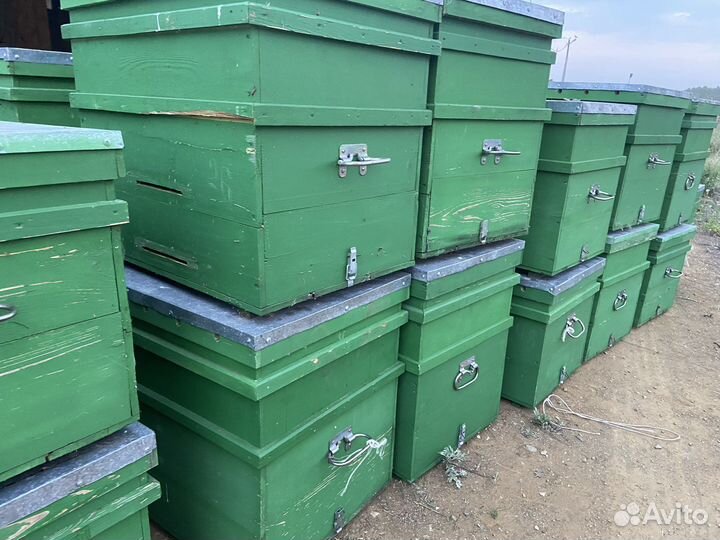 Улей для пчел