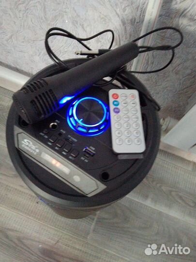 Портативная колонка с караоке