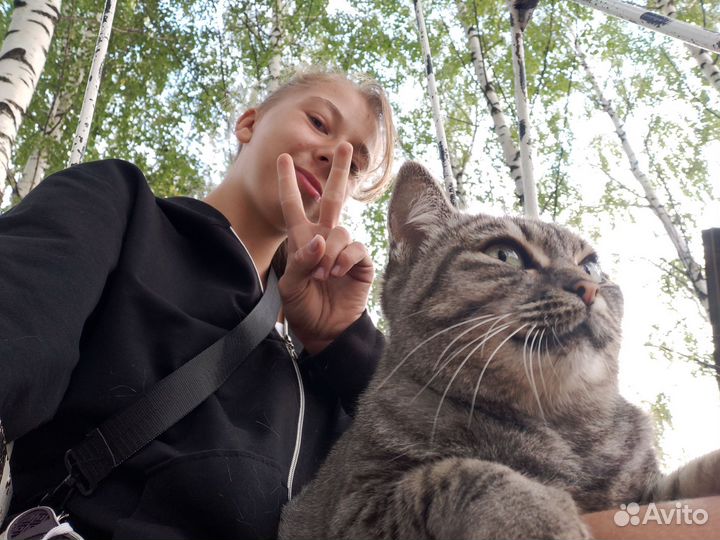 Передержка кошек и грызунов