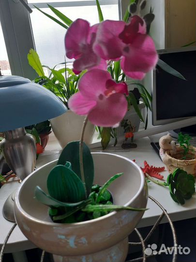 Кашпо 2 штуки керамика перламутр