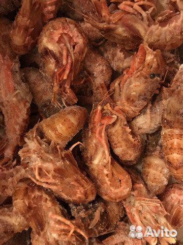 Раки. Крабы. Икра. Креветки. Лангустины