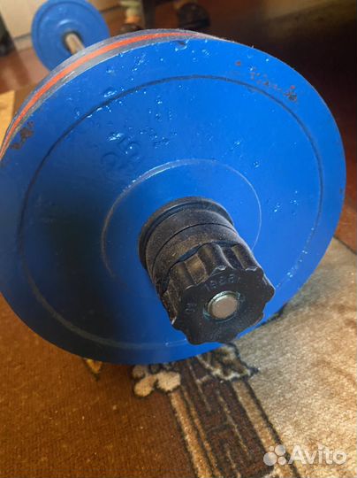 Штанга с блинами