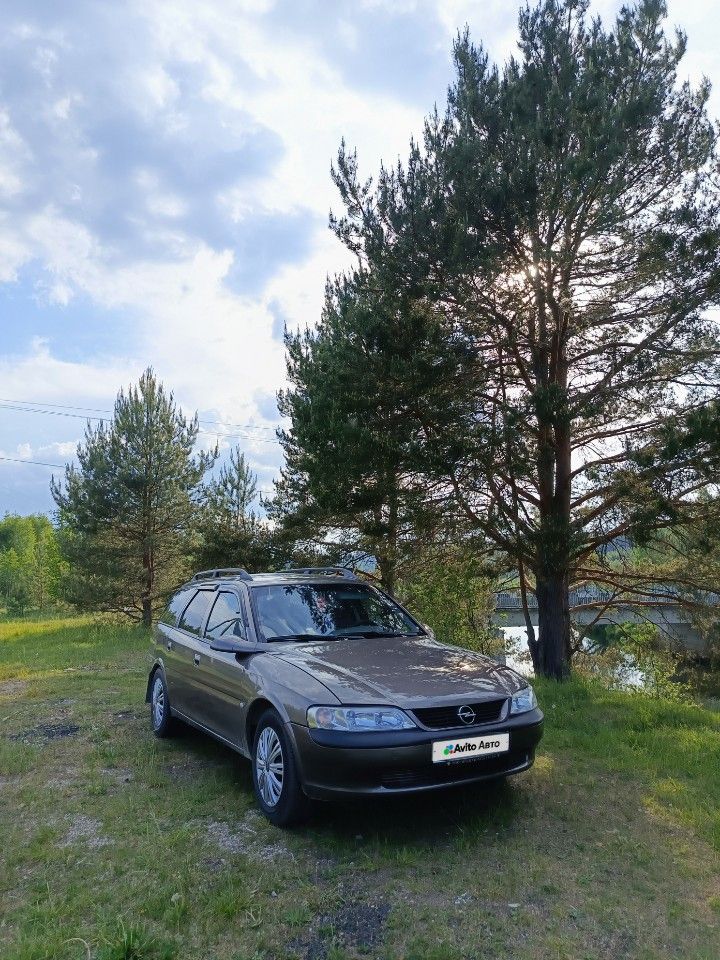 Opel Vectra: фото владельца