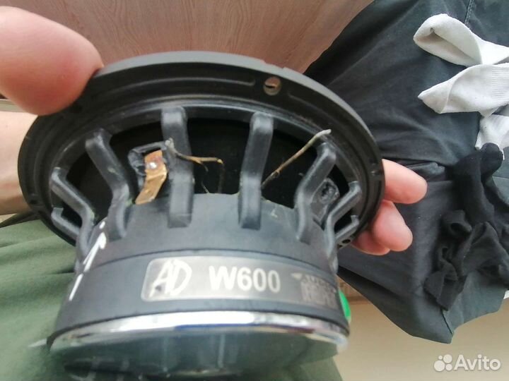 Audio DevelopmentW 600