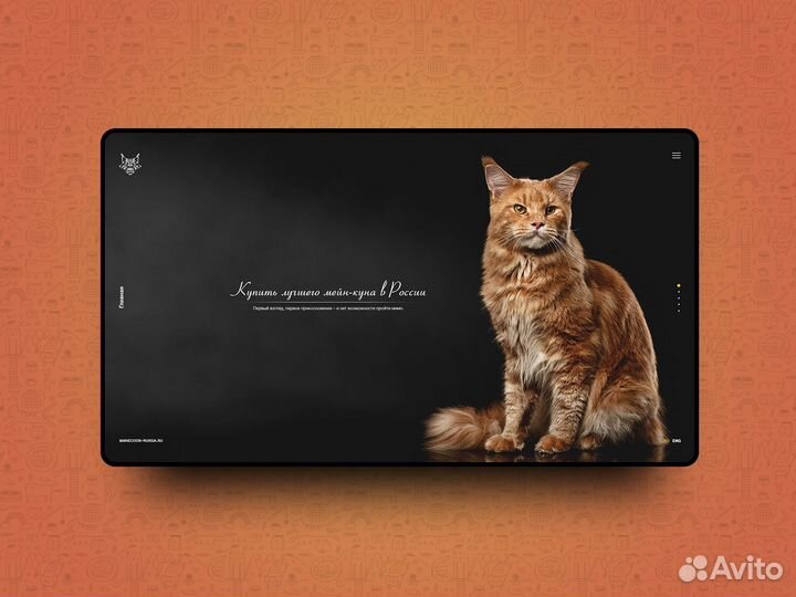 Web дизайнер