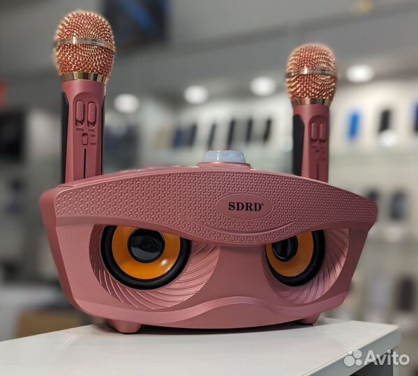 Беспроводная караоке система sdrd SD-306