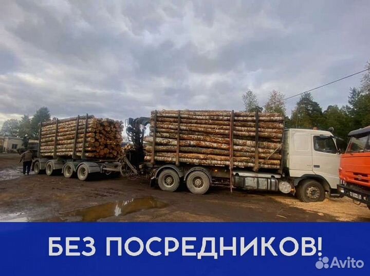 Дрова на дачу