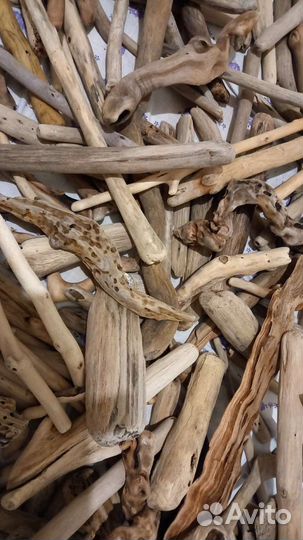 Дрифтвуд разнообразные палочки и коряжки