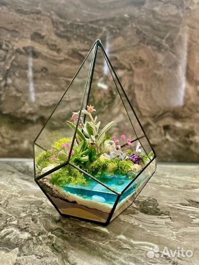 Цветы,Флорариум