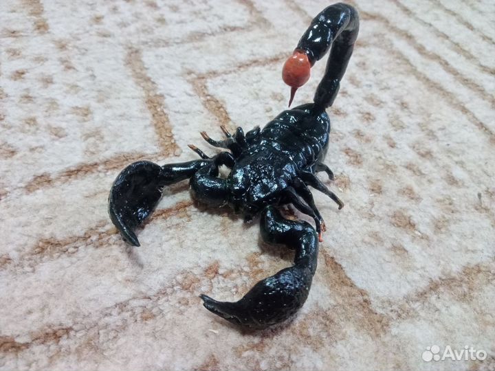 Скорпионы, пауки, змеи из полимерной глины