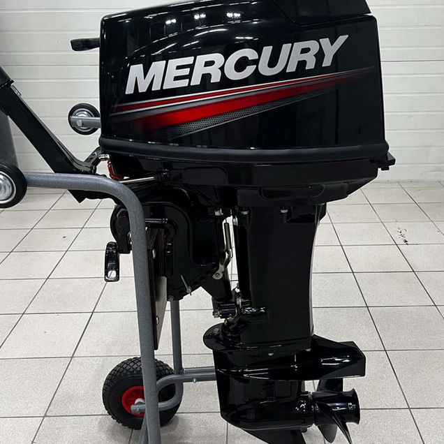 Лодочный мотор Mercury 30 MH