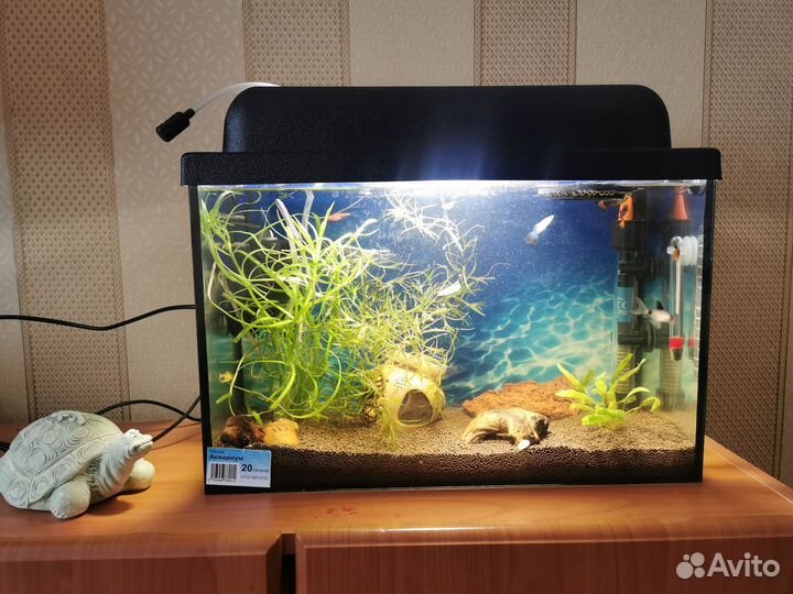 Аквариум с рыбками