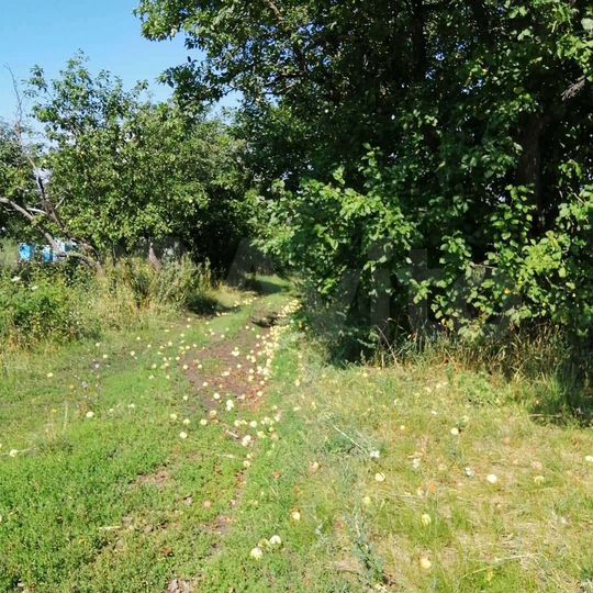 Участок 36 сот. (ИЖС)