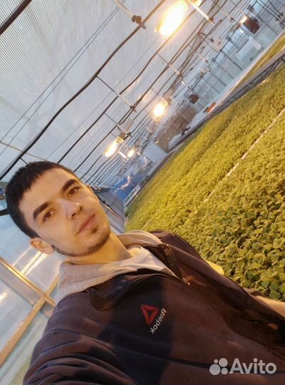 Любая работа, подработка