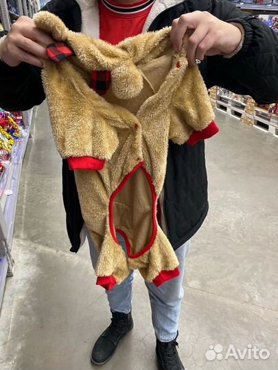 Собачья одежда