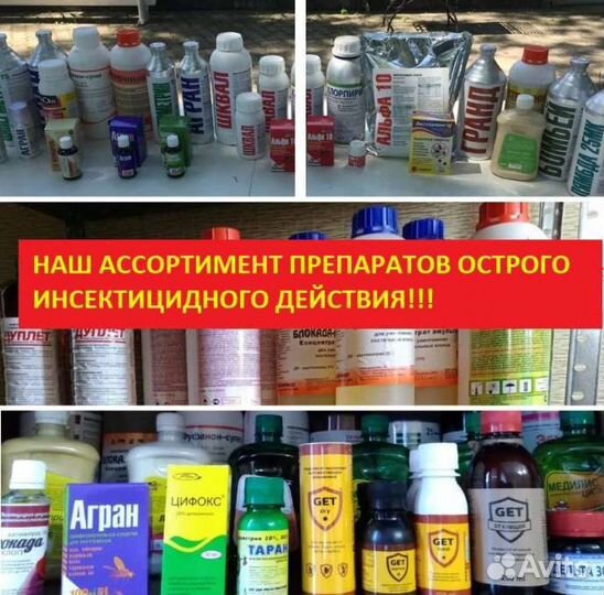 Санобработка травить клопов, уничтожение тараканов