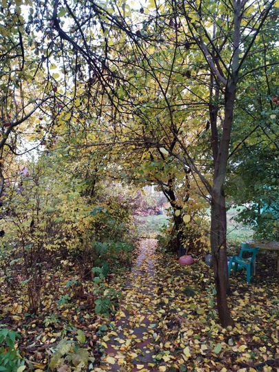 Участок 22,5 сот. (ИЖС)