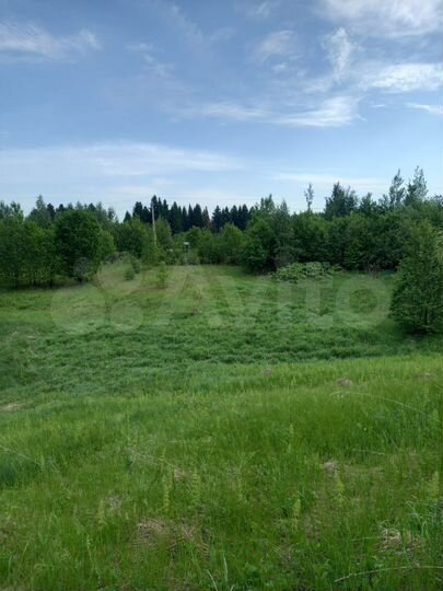 Участок 17 сот. (СНТ, ДНП)