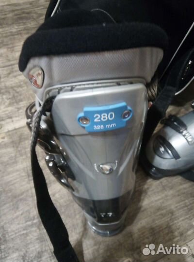 Горные лыжи