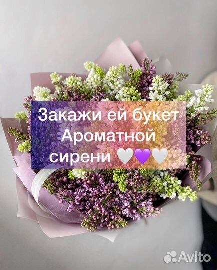 Сирень,Букет сирени,сирень с доставкой 25/7 Букеты