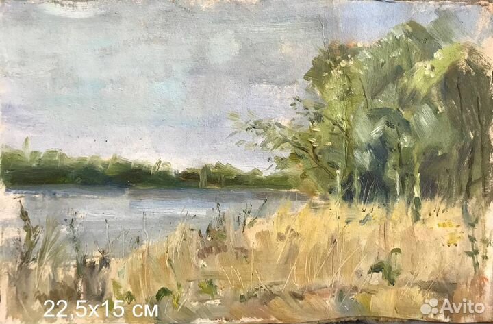 Этюды маслом на картоне