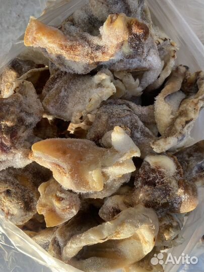 Мясо для собак пищевое, супер качество