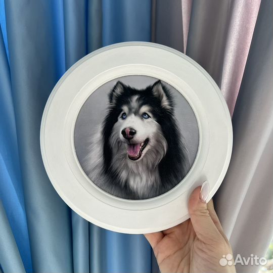 Картина Собака Хаски