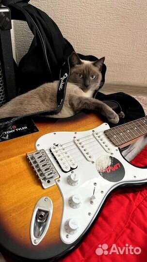 Электрогитара fender squier bullet