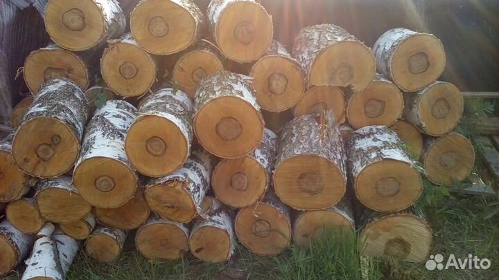 фанкряж березовый. аккордеон березка 140р. нагорнский губаха. монстера мужегон. сагутьево брянская область.