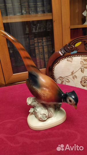 Фарфоровые птицы Фазан и 2 попугая.Германия