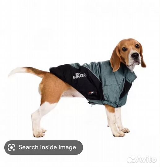 Куртка для собак