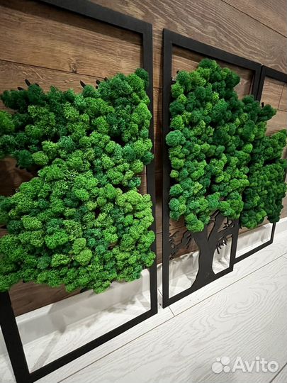 Картина из стабилизированного мха 