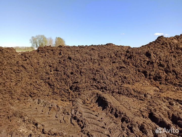 Навоз коровий