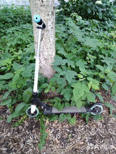 Самокат capella