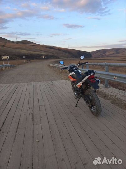Racer panther 250