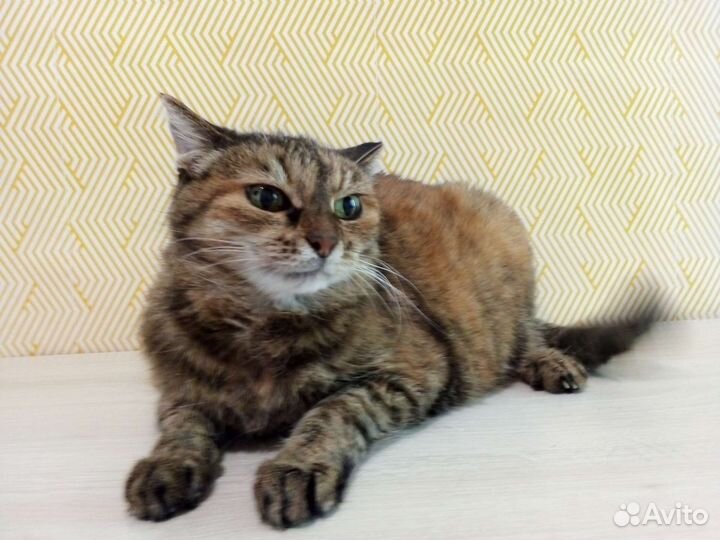 Марточка мечтает о семье и доме