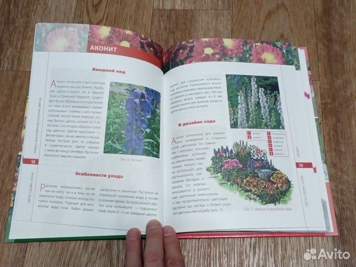 Книга Цветы у дома