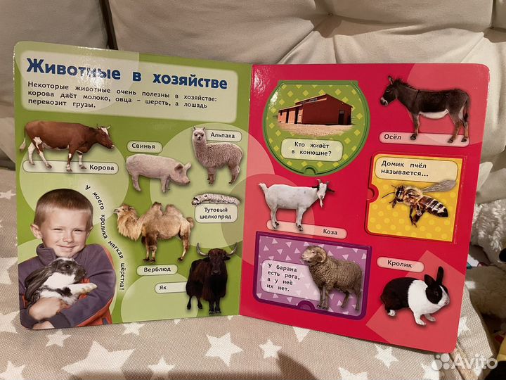 Книжки с окошками