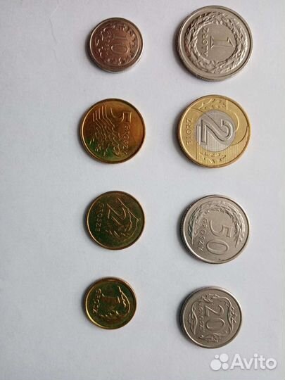 Польские злотые