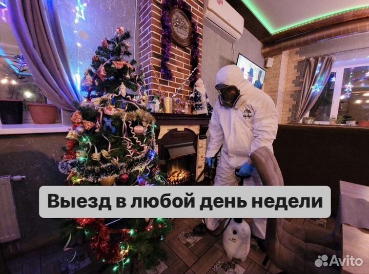 Уничтожение тараканов, травить клопов, дезинфекция