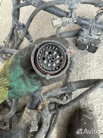 Эбу. Блок управления двигателем c4988820