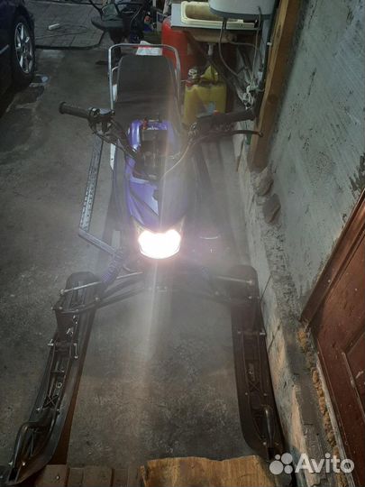 Irbis Dingo t125