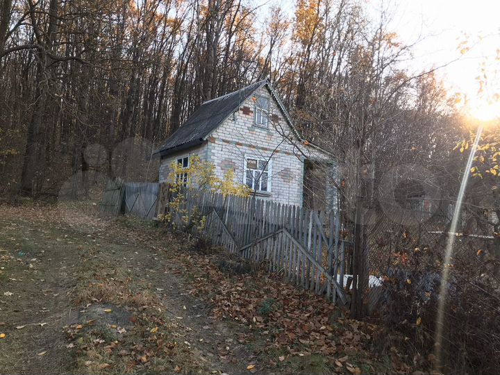 Снт дубки индекс. СНТ Дубок. СНТ Дубки фото. Городищенская дача фото.