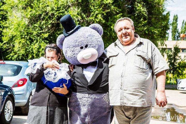 Мишка Тедди Поздравление Медведь + Фотограф