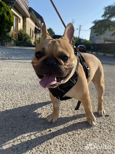 Кабель вязка (развязан )