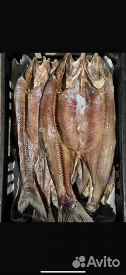 Рыба холодного и горячего копчения