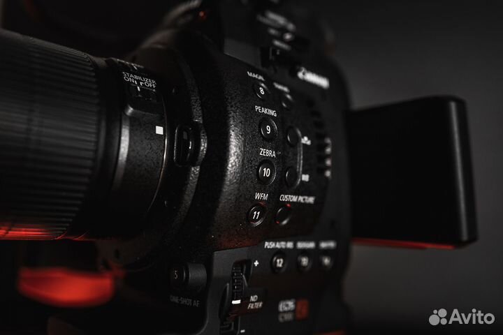 Canon c100