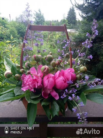 Кашпо для цветов