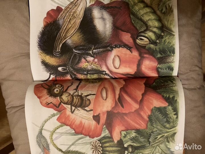 Детские книги. Мамин-Сибиряк. Алёнушкиеы сказки